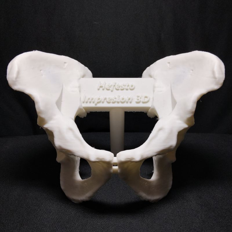 Médico con modelo anatómico 3D — docencia